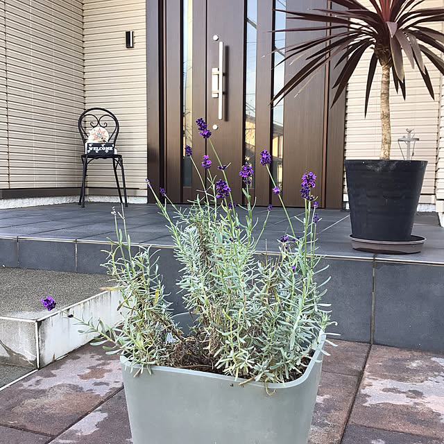 houenさんの実例写真