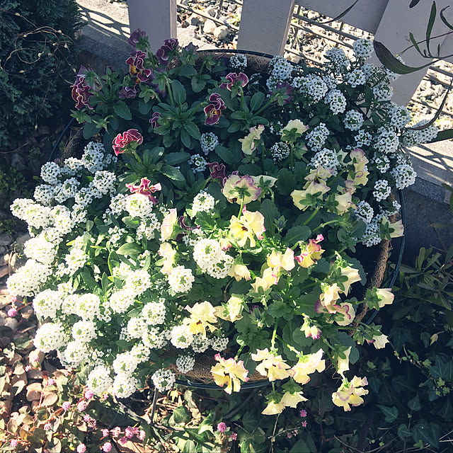 YUさんの実例写真