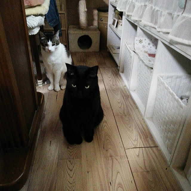 Tomopさんの実例写真