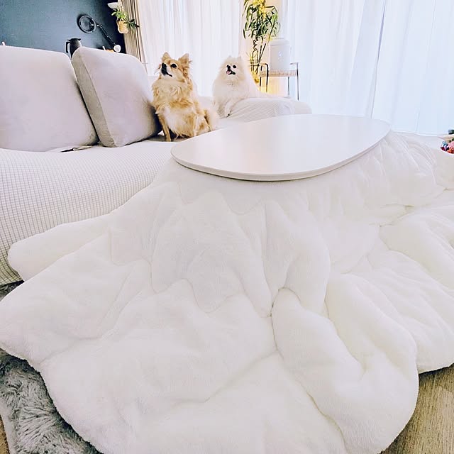 noahさんの実例写真