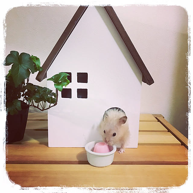 emiさんの実例写真