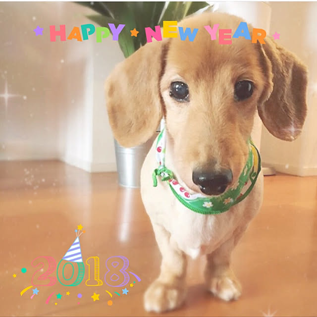 mugi1123さんの実例写真
