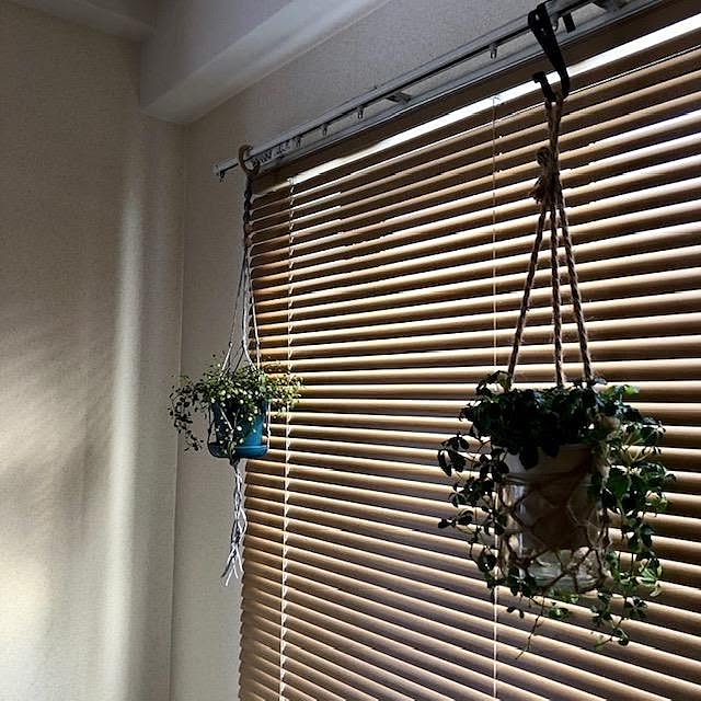 壁/天井のインテリア実例 - 2020-08-23 12:06:50