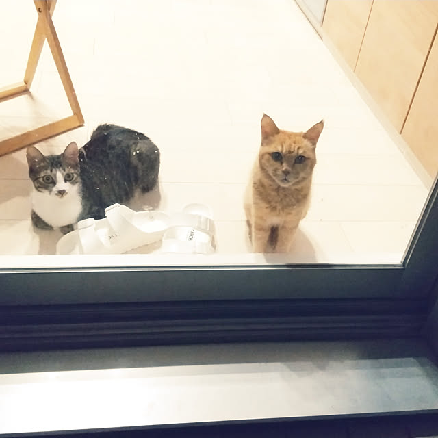 hanacocoさんの実例写真