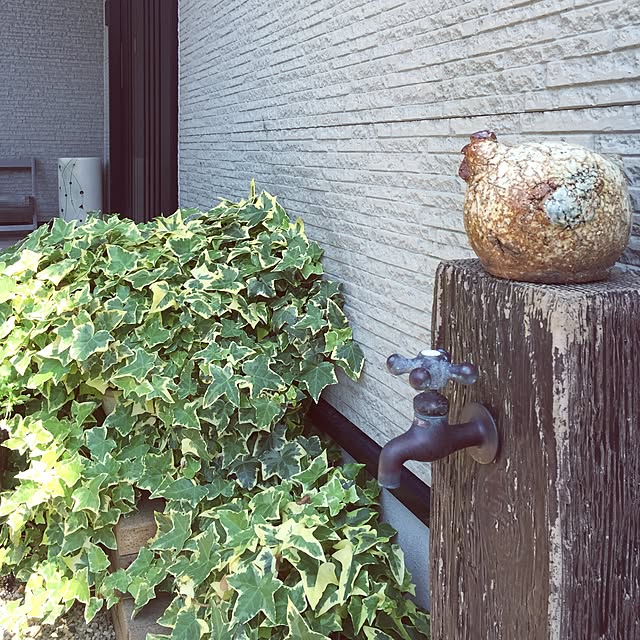 teraさんの実例写真