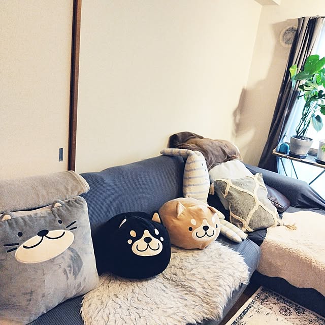 pinkoさんの実例写真