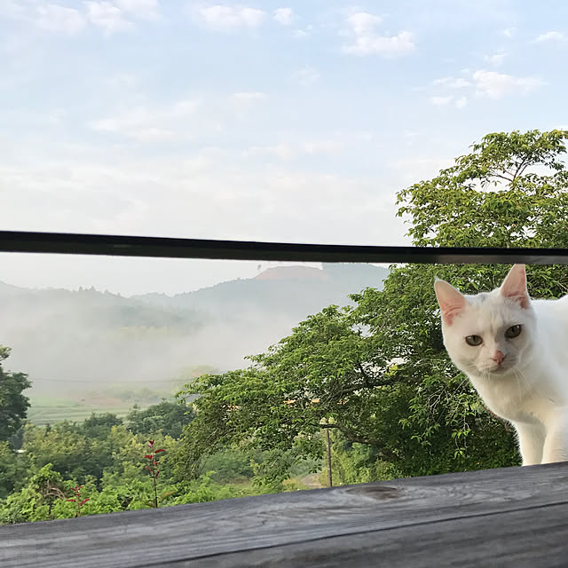sakurasakuさんの実例写真