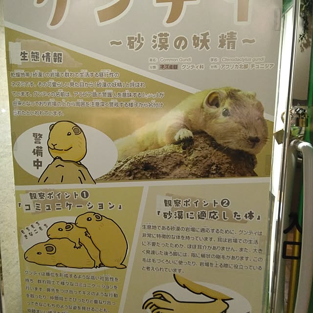 tomo3さんの部屋