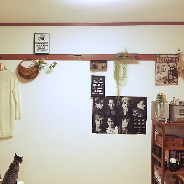 shinoさんの実例写真