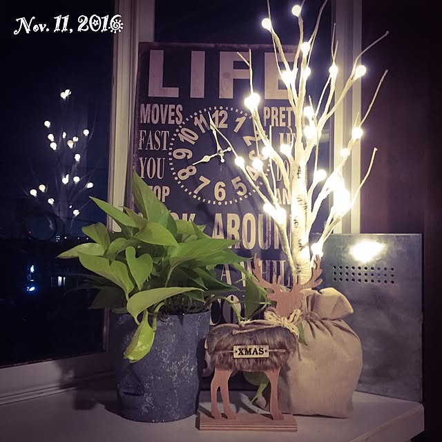 natulove0418さんの実例写真