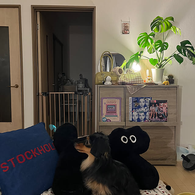 yapiさんの実例写真