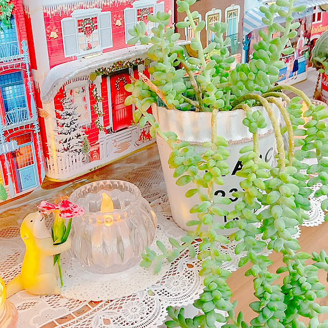 Hanakaさんの部屋