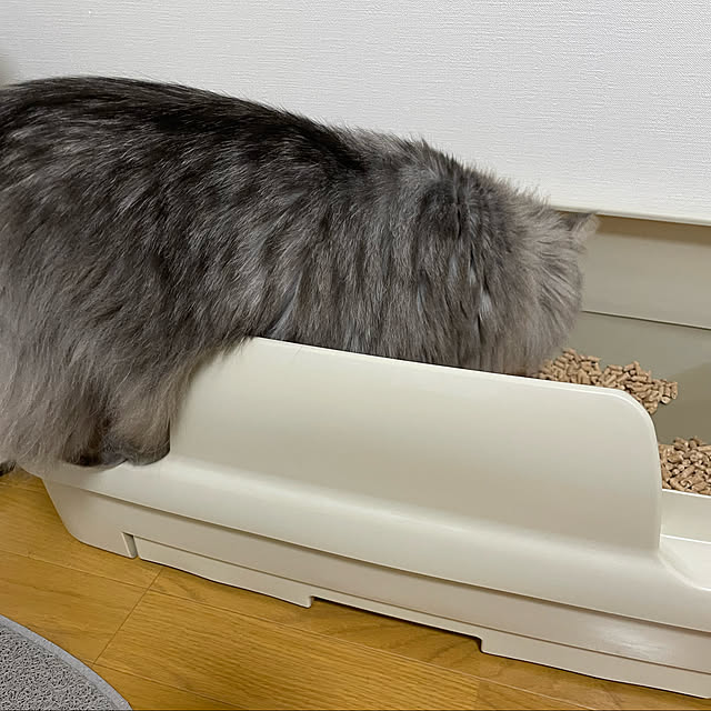 naoさんの実例写真