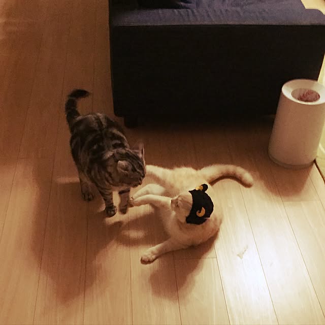 y.k.0123さんの実例写真