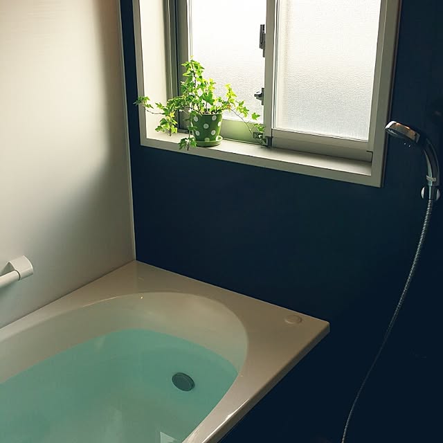 aco_64さんの実例写真