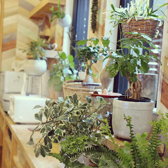 takakoさんの実例写真