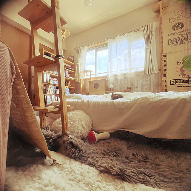 Mさんの実例写真