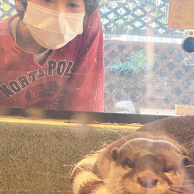 ohanaさんの部屋