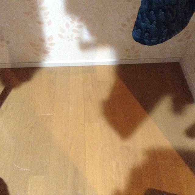 mtさんの実例写真