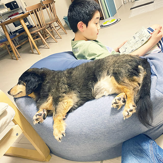 ohanaさんの実例写真