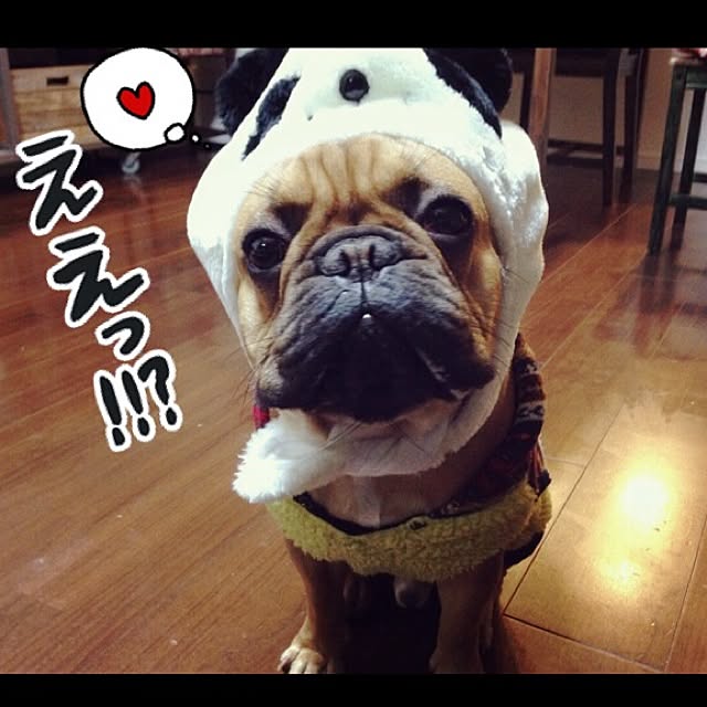 eriさんの実例写真