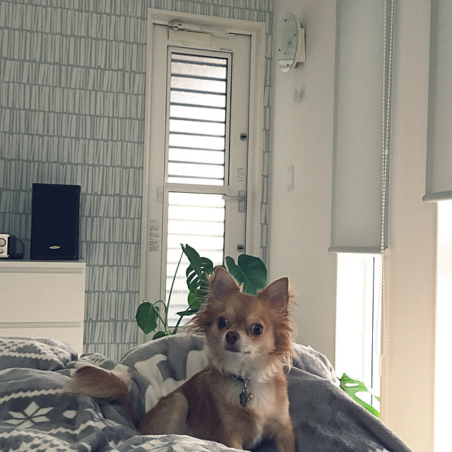 comoさんの実例写真