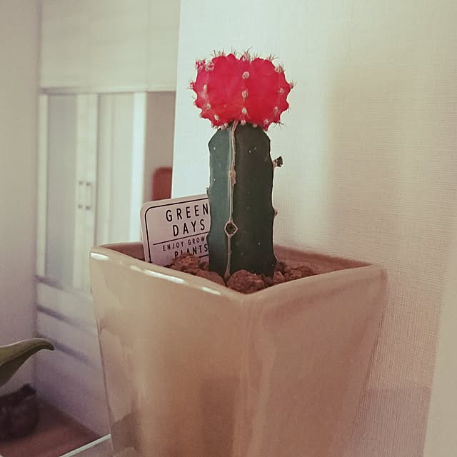 Mariさんの実例写真