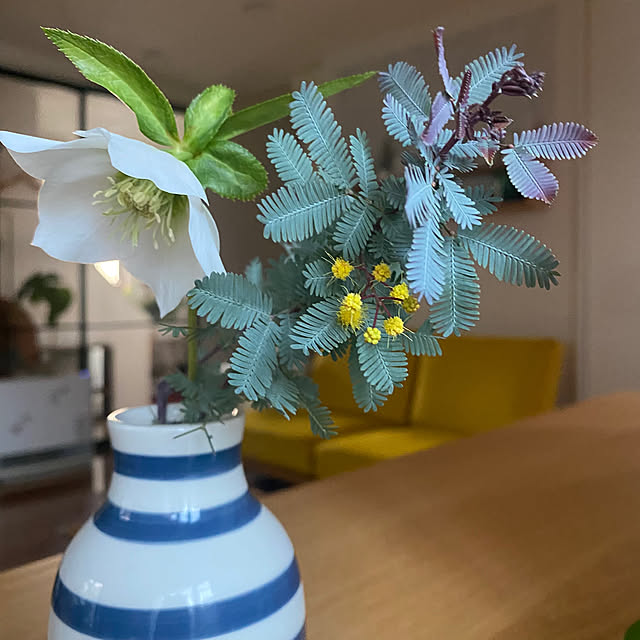 fu-mufumuさんの部屋