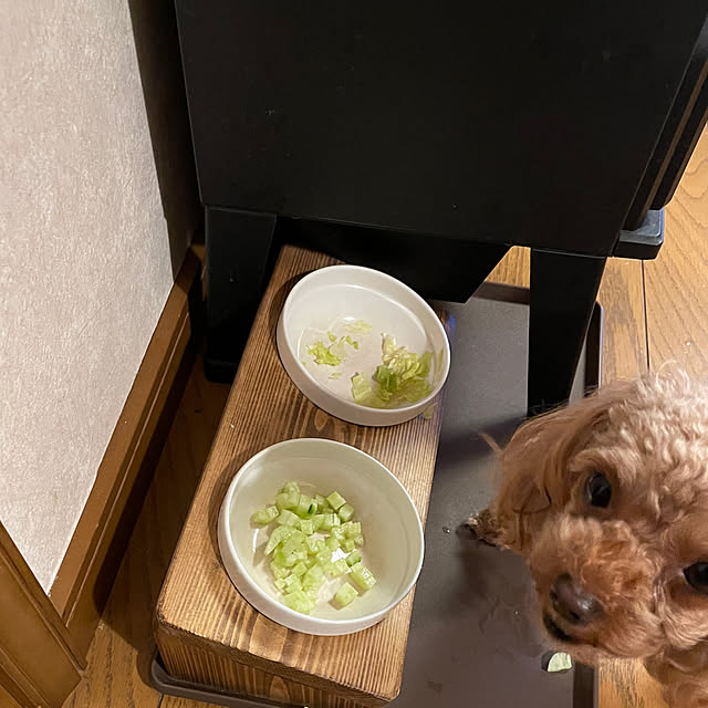 mamizaさんの部屋