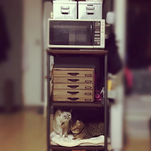 Hotateさんの実例写真
