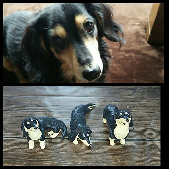 bonkiyoさんの実例写真