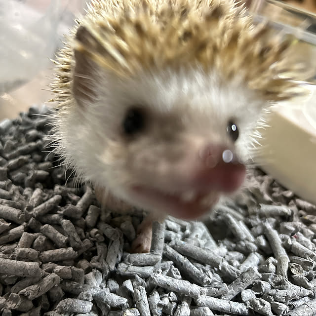 yunyumさんの部屋