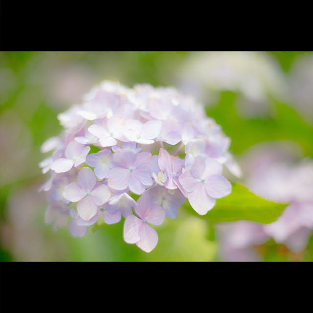 Shinya-atelierさんの部屋