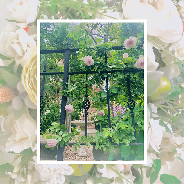 waterlilies_1224さんの実例写真