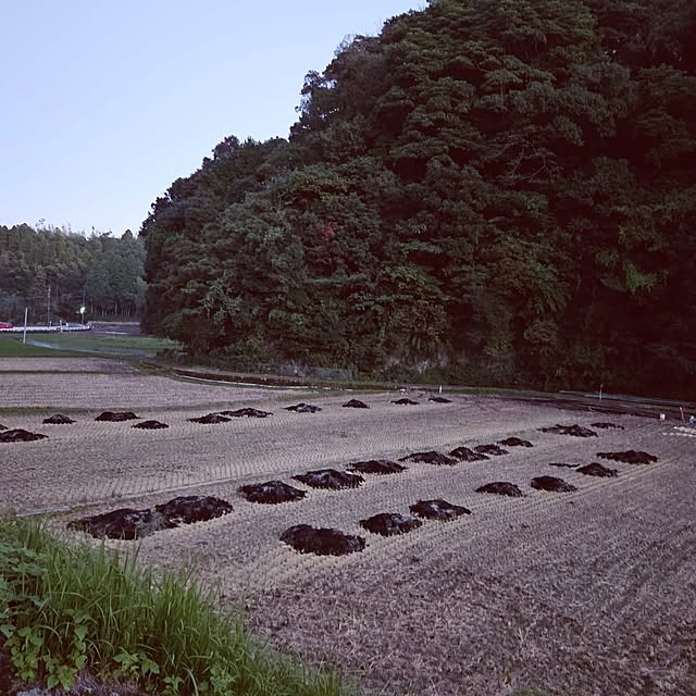 mocomocoさんの部屋