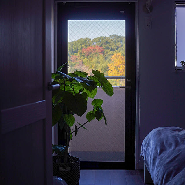 Saraさんの実例写真