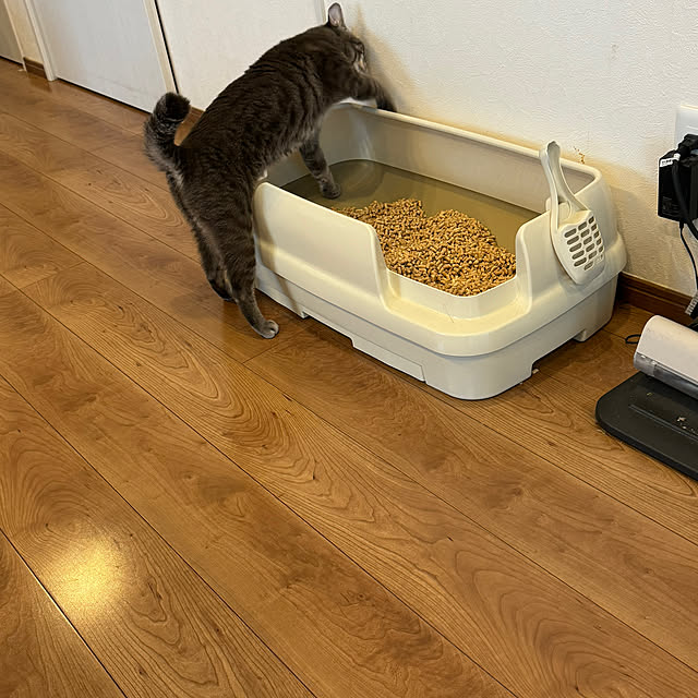 Pisaさんの実例写真