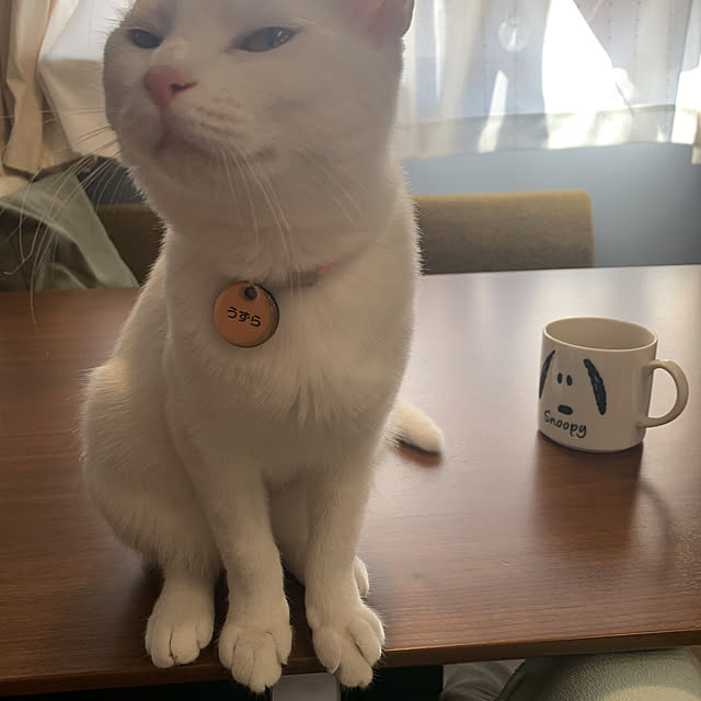 keiさんの実例写真