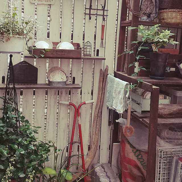 koyutan-mjmさんの実例写真