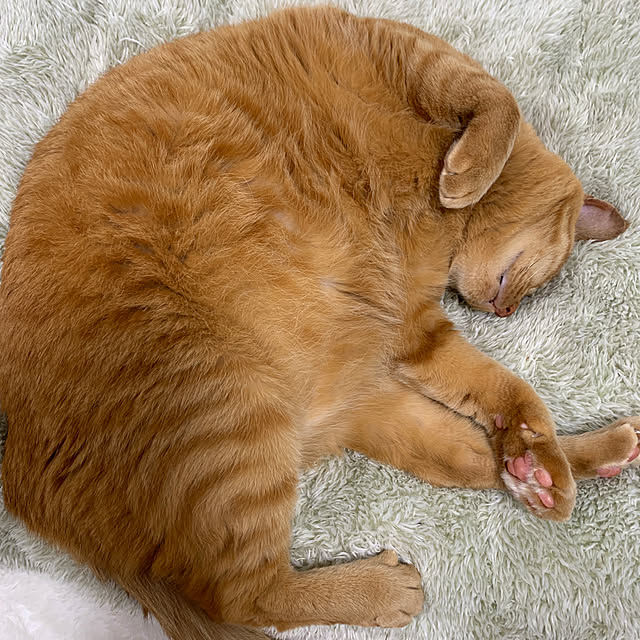 rioさんの実例写真