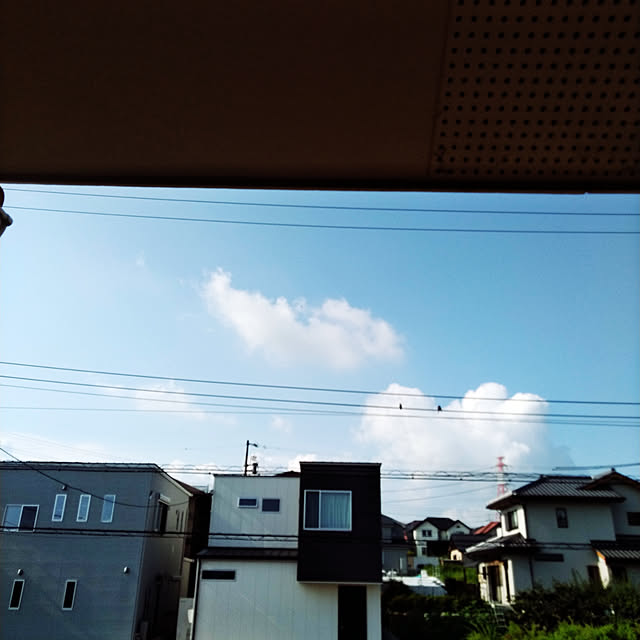 lilyさんの実例写真