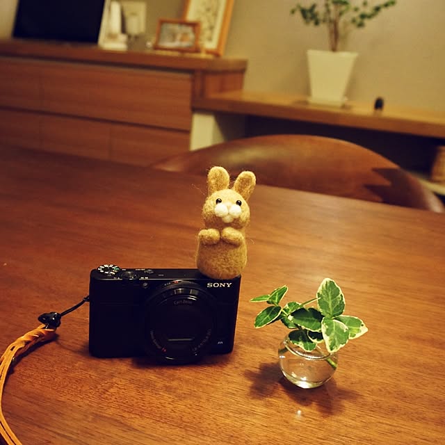 kinako_shiro_ginさんの実例写真