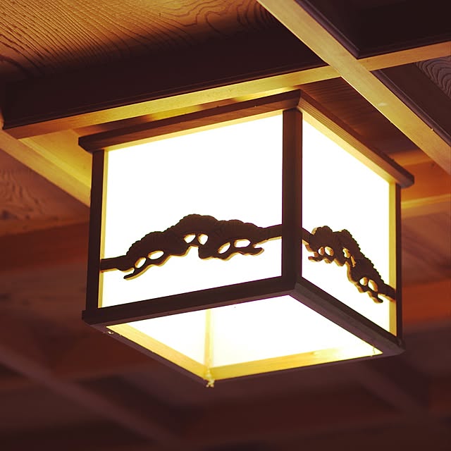 玄関/入り口/照明/ナチュラルのインテリア実例 - 2015-08-13 19:38:50