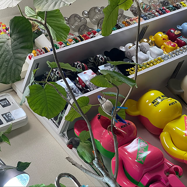 phpさんの実例写真