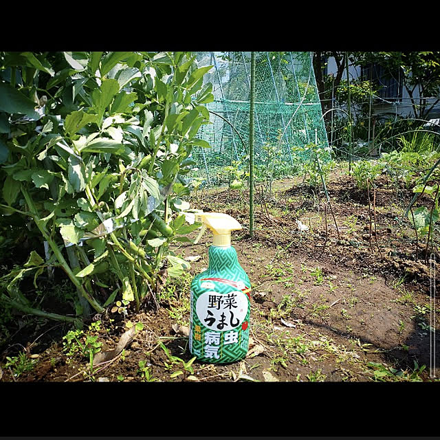 mntcさんの実例写真