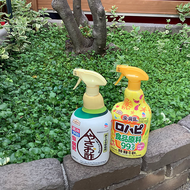 haruminさんの実例写真