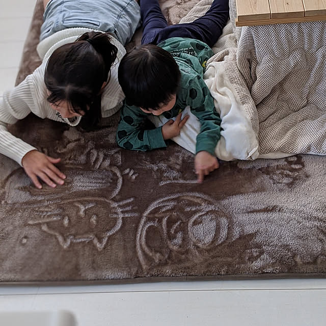 korokkoroさんの実例写真