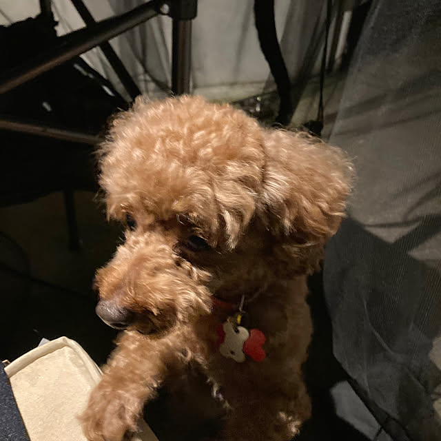 MOMOMAMAさんの部屋