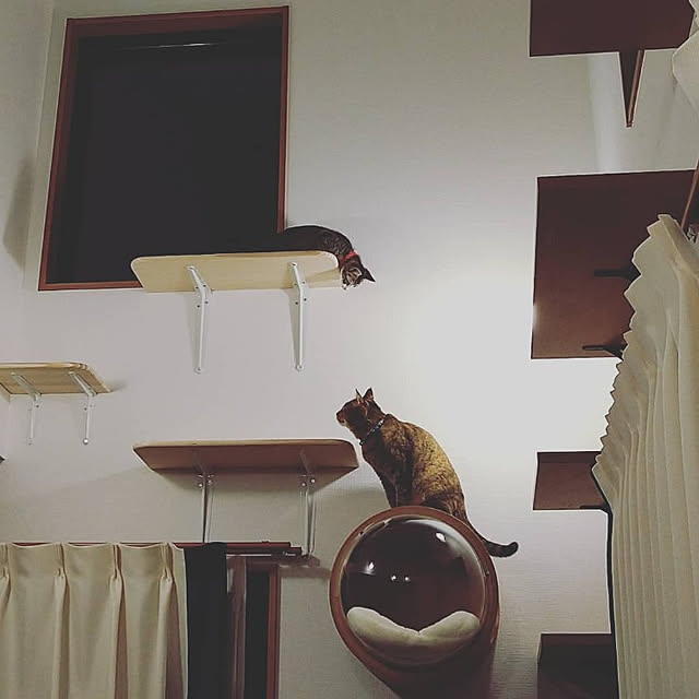 mochicoさんの実例写真
