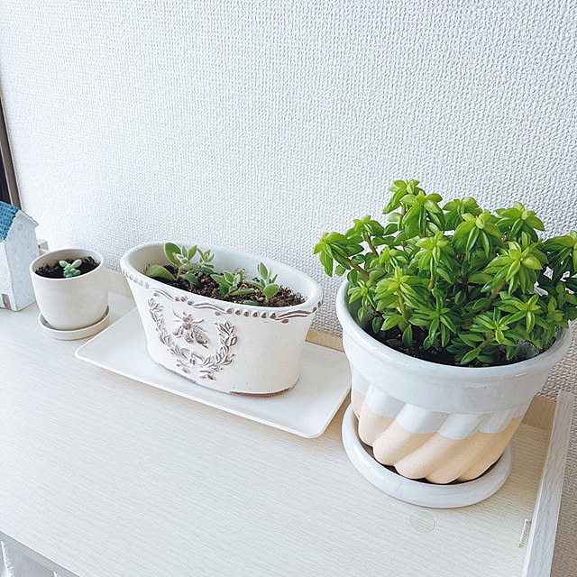 pedaroさんの実例写真